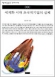 column20040831_s.jpg