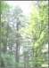 column20040826_s.jpg